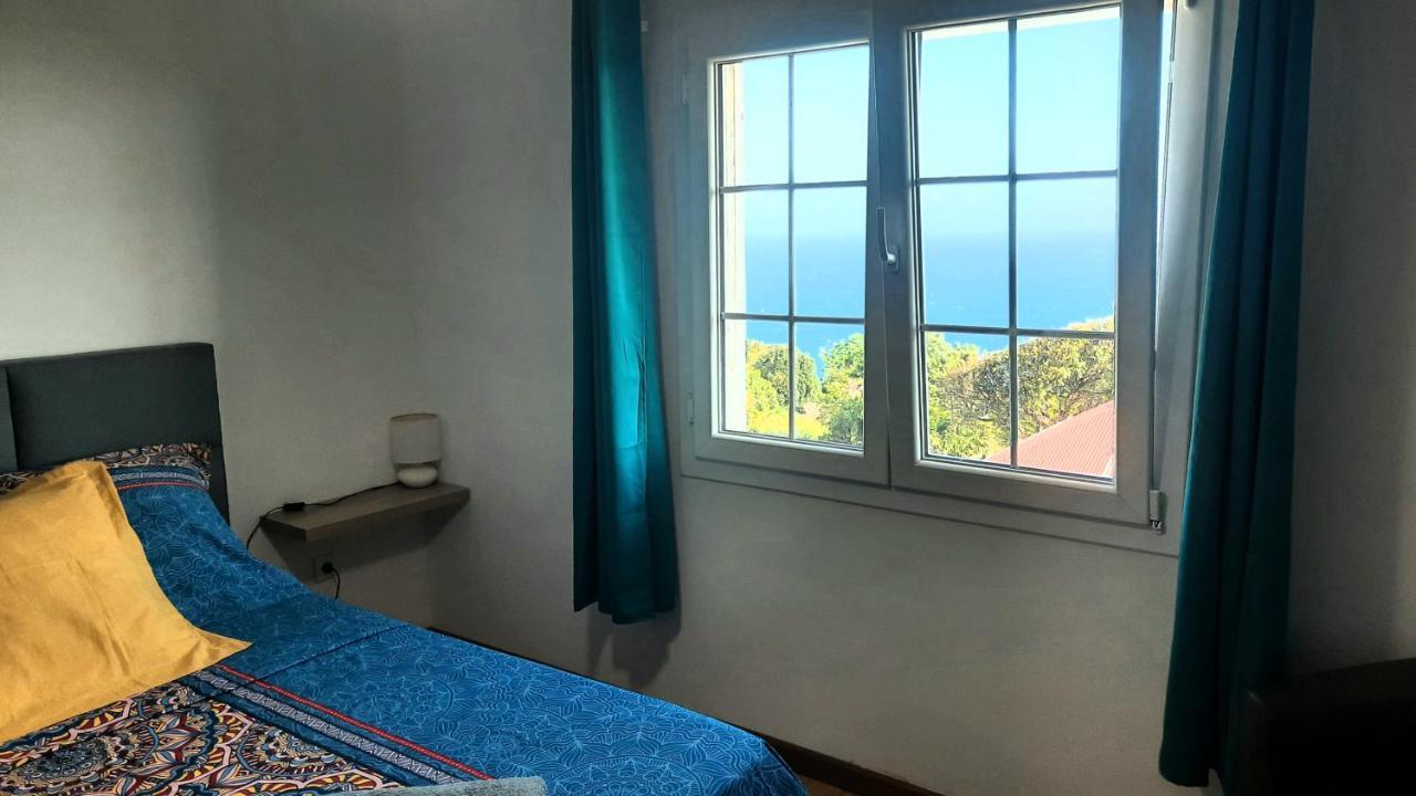 Chambre Vue Sur Mer Entre Grande Anse Et Manapany Петіт-Іль Екстер'єр фото