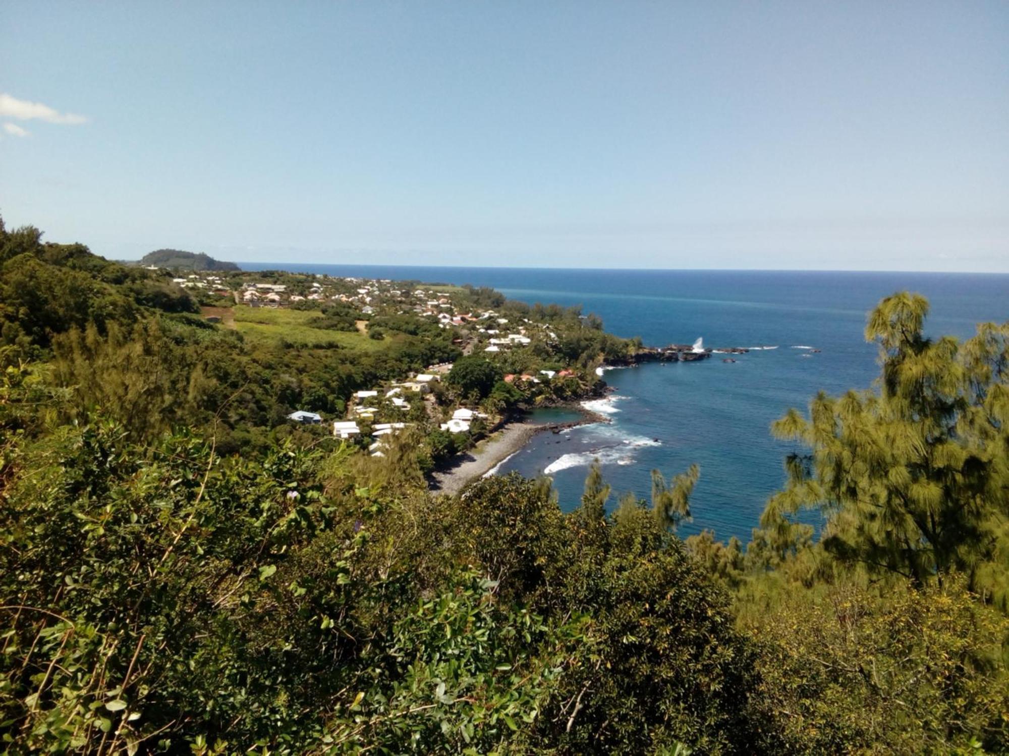 Chambre Vue Sur Mer Entre Grande Anse Et Manapany Петіт-Іль Екстер'єр фото